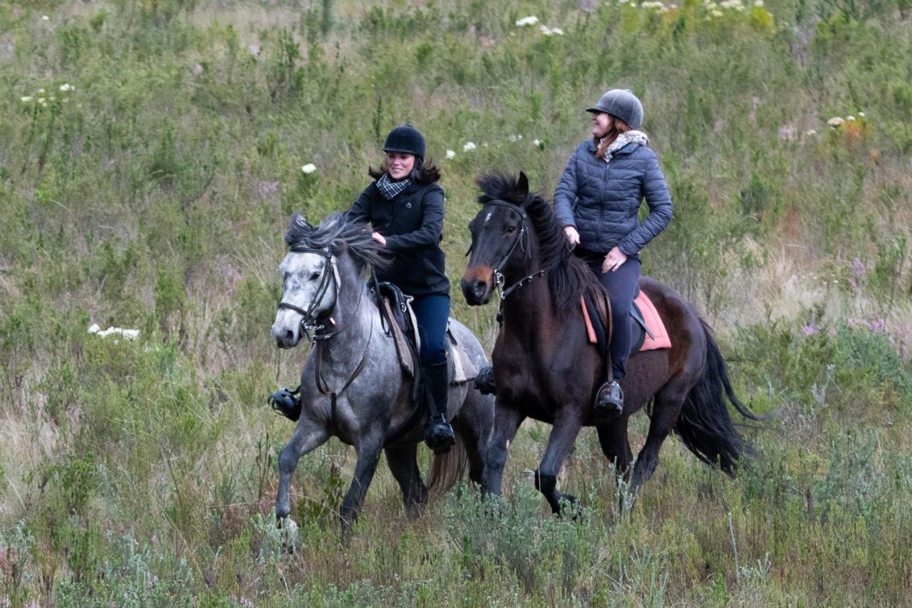 Oudebosch Guest Farm Villa Riversdale Eksteriør billede